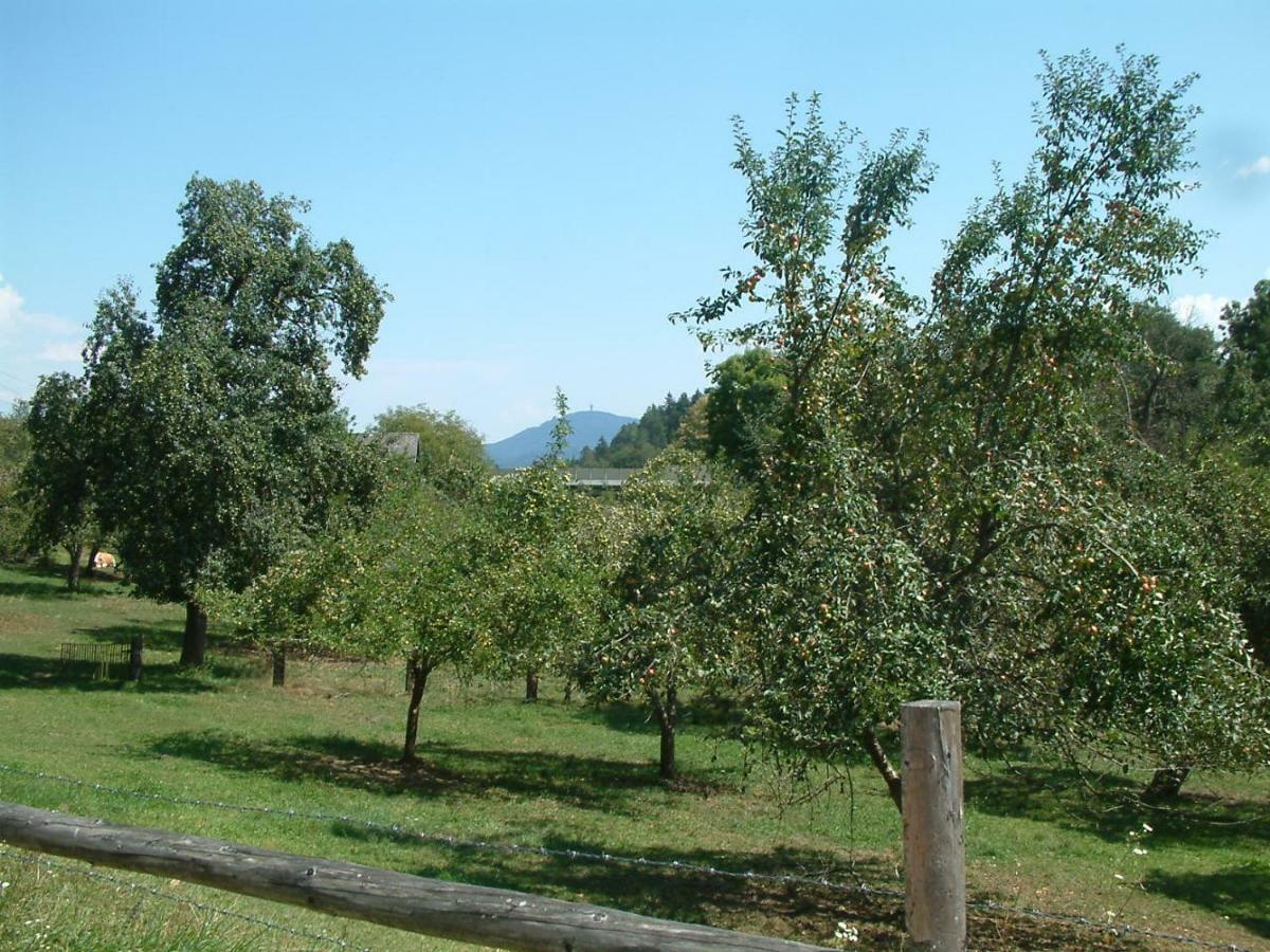 Ferienwohnung Woid Mandl Velden am Wörthersee Εξωτερικό φωτογραφία